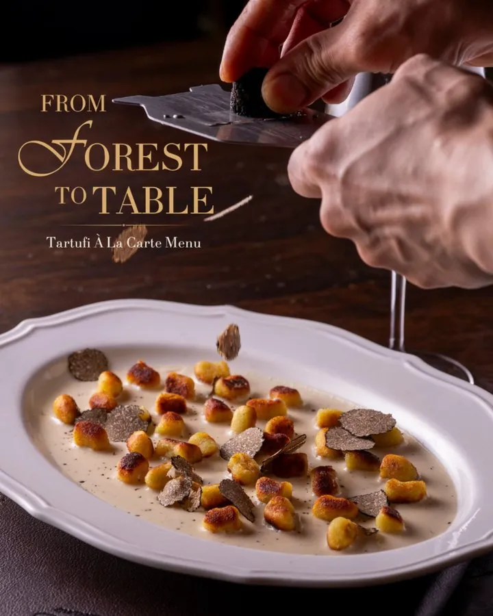 La Taverna post: From Forest to Table